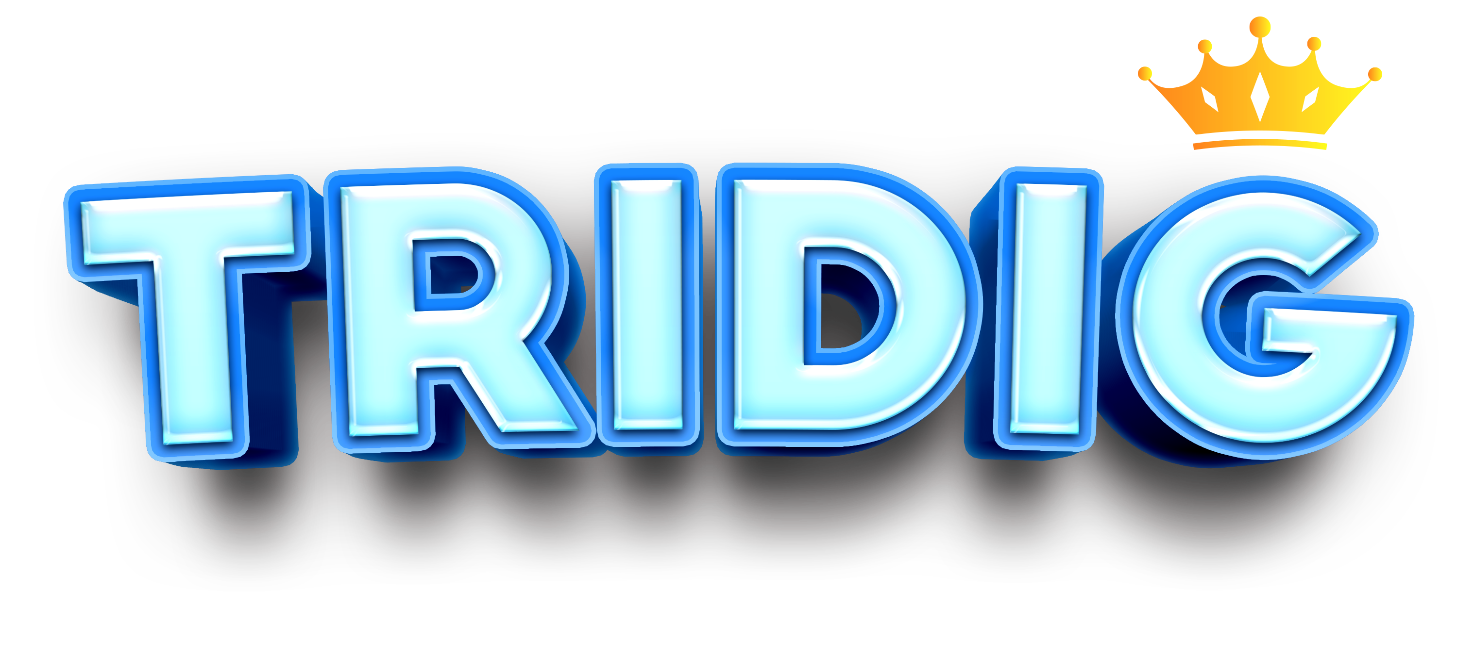tridigital logo
